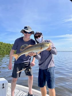 Redfish Fishing in Clearwater, Florida