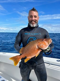 Mutton Snapper Fishing in Islamorada, Florida