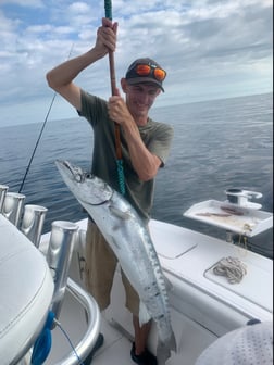 Cobia fishing in Wilmington, North Carolina