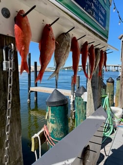 Fishing in Destin, Florida