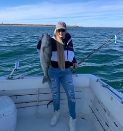 Striped Bass fishing in Montauk, New York