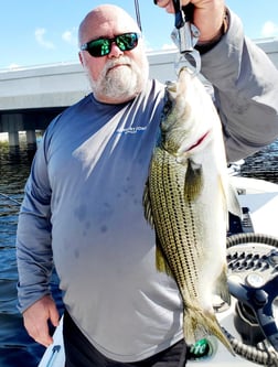 Peacock Bass Fishing in Delray Beach, Florida