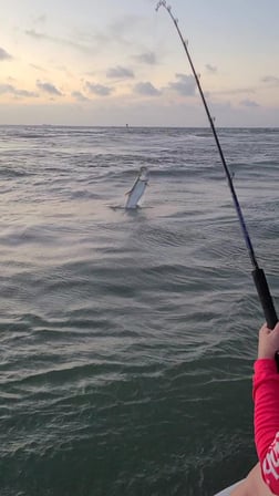 Tarpon fishing in Port O'Connor, Texas