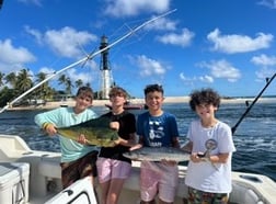 Sailfish Fishing in Pompano Beach, Florida