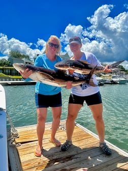 Cobia fishing in Wilmington, North Carolina