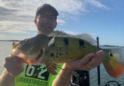 Largemouth Bass Fishing in Palmetto Bay, Florida