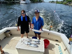 False Albacore Fishing in Pompano Beach, Florida