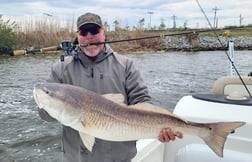 Redfish, Sheepshead Fishing in Sulphur, Louisiana