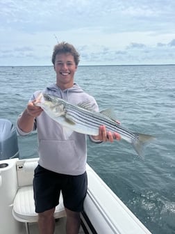 Fishing in Dennis, Massachusetts