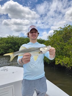 Snook Fishing in Tampa, Florida