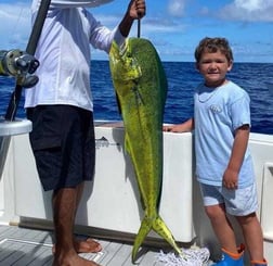 Mahi Mahi / Dorado fishing in Punta Cana, La Altagracia Province