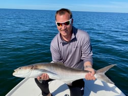 Fishing in Fort Myers, Florida