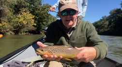 Brown Trout fishing in Roswell, Georgia