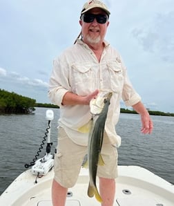 Snook Fishing in Crystal River, Florida