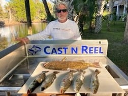 Speckled Trout / Spotted Seatrout Fishing in Crystal River, Florida