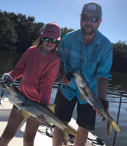 Snook Fishing in Saint Petersburg, Florida