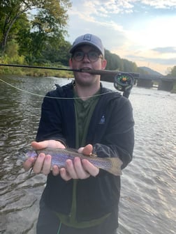 Fishing in Broken Bow, Oklahoma