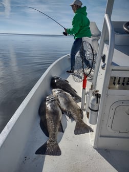 Speckled Trout / Spotted Seatrout Fishing in Oak Hill, Florida