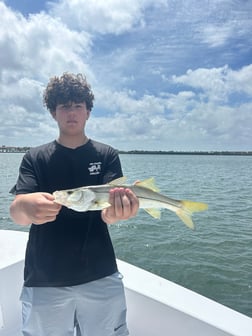 Snook Fishing in Tampa, Florida