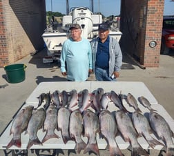 Hybrid Striped Bass Fishing in Runaway Bay, Texas