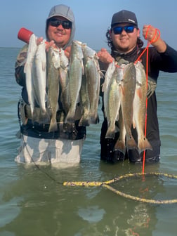 Redfish, Speckled Trout / Spotted Seatrout Fishing in Corpus Christi, Texas