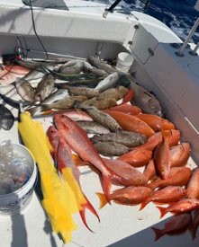 Swordfish Fishing in Pompano Beach, Florida