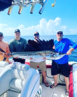 Sailfish Fishing in Panama City Beach, Florida