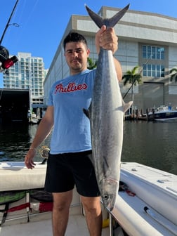 Barracuda Fishing in Fort Lauderdale, Florida