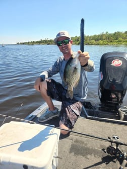 Crappie Fishing in Wellington, Florida