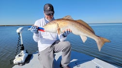 Redfish Fishing in Golden Meadow, Louisiana