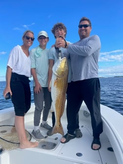 Fishing in Orange Beach, Alabama