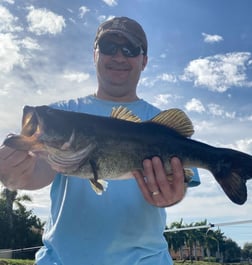 Peacock Bass Fishing in Wellington, Florida