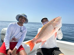 Mutton Snapper Fishing in Layton Key, Florida