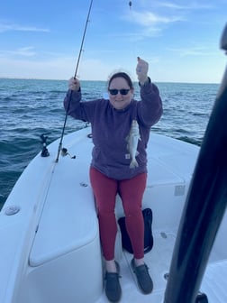 Speckled Trout / Spotted Seatrout Fishing in Gulf Shores, Alabama