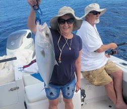 Amberjack Fishing in Steinhatchee, Florida