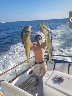 Mahi Mahi / Dorado Fishing in San Diego, California