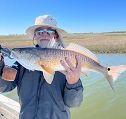 Sheepshead Fishing in Galveston, Texas