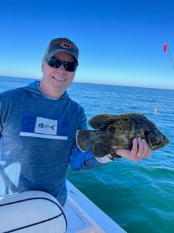 Lane Snapper Fishing in Cape Coral, Florida