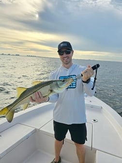 Fishing in Sarasota, Florida