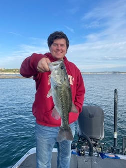 Largemouth Bass Fishing in Austin, Texas