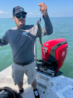 Fishing in South Padre Island, Texas