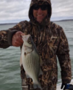 Blue Catfish, Striped Bass Fishing in Runaway Bay, Texas