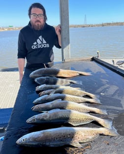 Black Drum, Redfish, Speckled Trout / Spotted Seatrout Fishing in Galveston, Texas