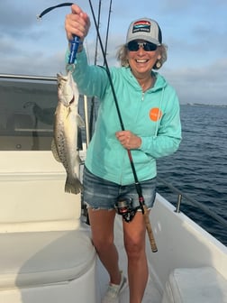 Sheepshead Fishing in Orange Beach, Alabama