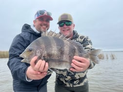 Sheepshead Fishing in Buras, Louisiana