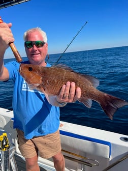 Red Snapper, Scamp Grouper, Scup / Porgy, Triggerfish Fishing in Destin, Florida