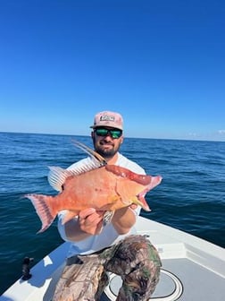 Kingfish Fishing in St. Petersburg, Florida