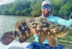 Tarpon Fishing in Tavernier, Florida