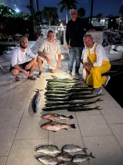 King Eider Fishing in Jupiter, Florida