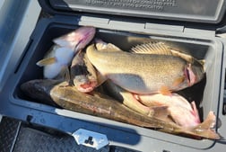 Fishing in Lorain, Ohio